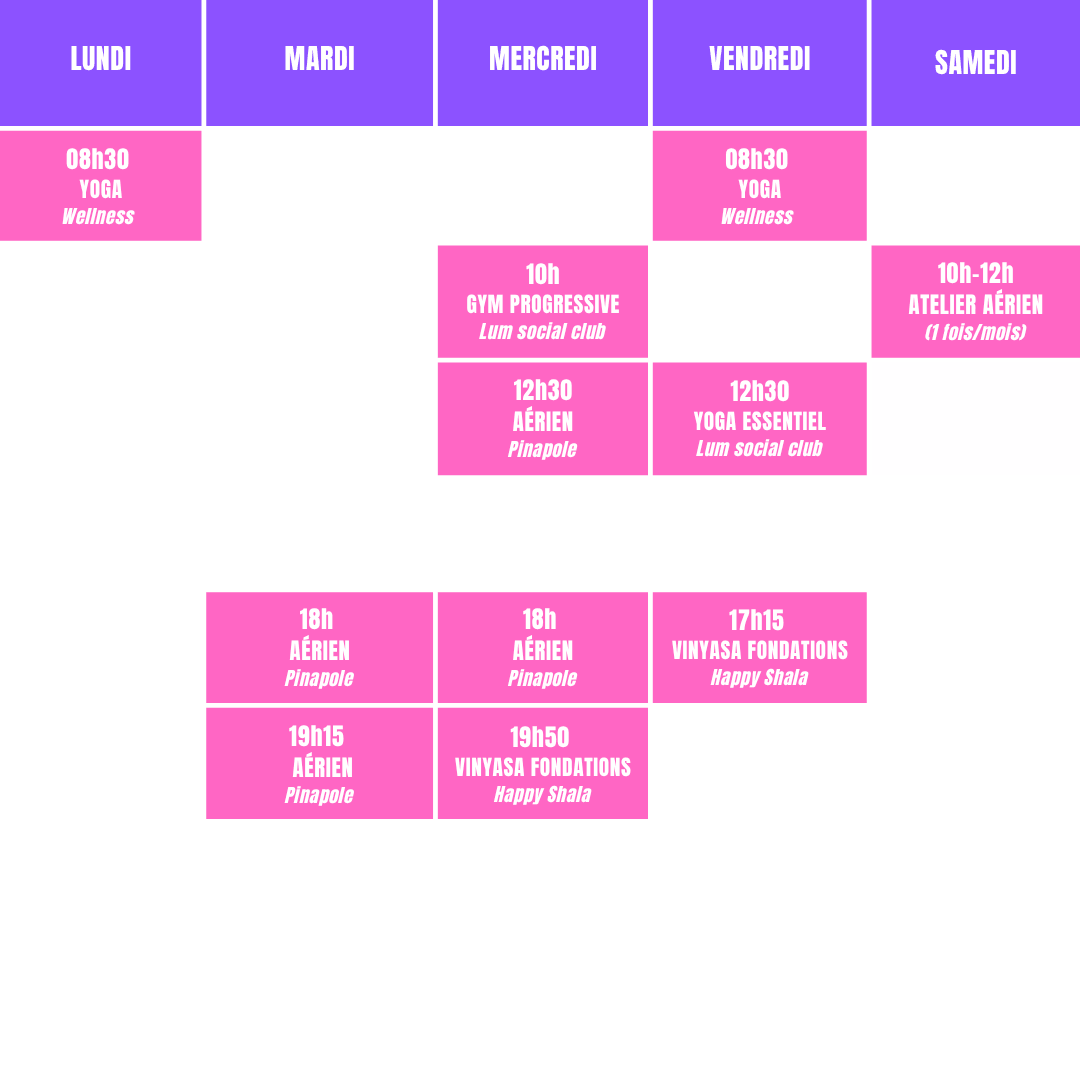 planning cours yoga aérien grenoble lyon